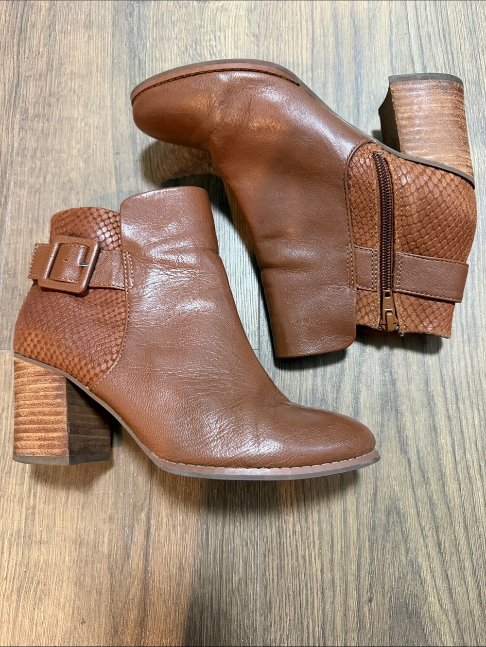 Seychelles Leather Embossed Reptile Buckle Stacked Heel Ankle Boots Shoe Size 6